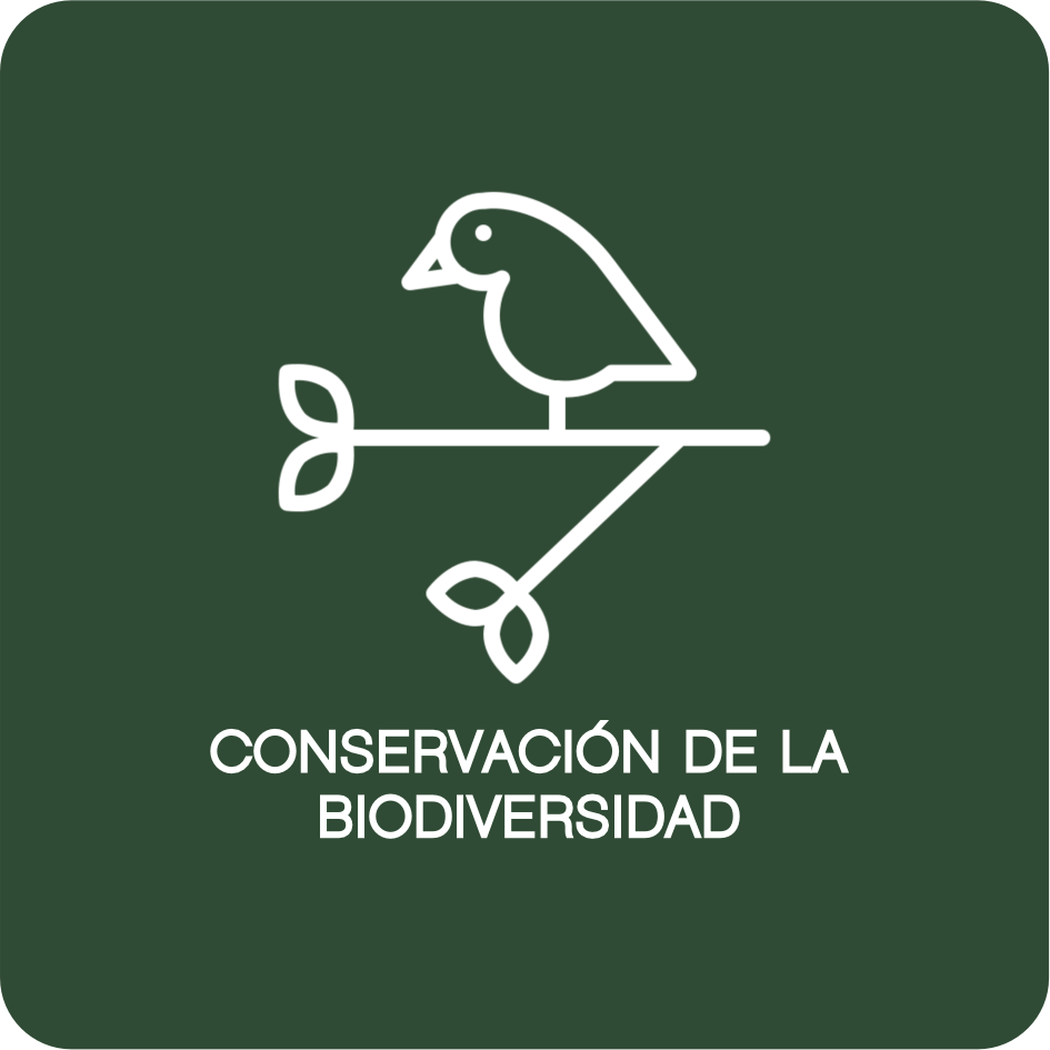 CONSERVACIÓN DE LA BIODIVERSIDAD