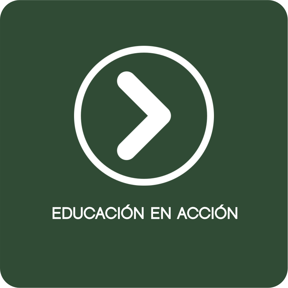 EDUCACIÓN EN ACCIÓN