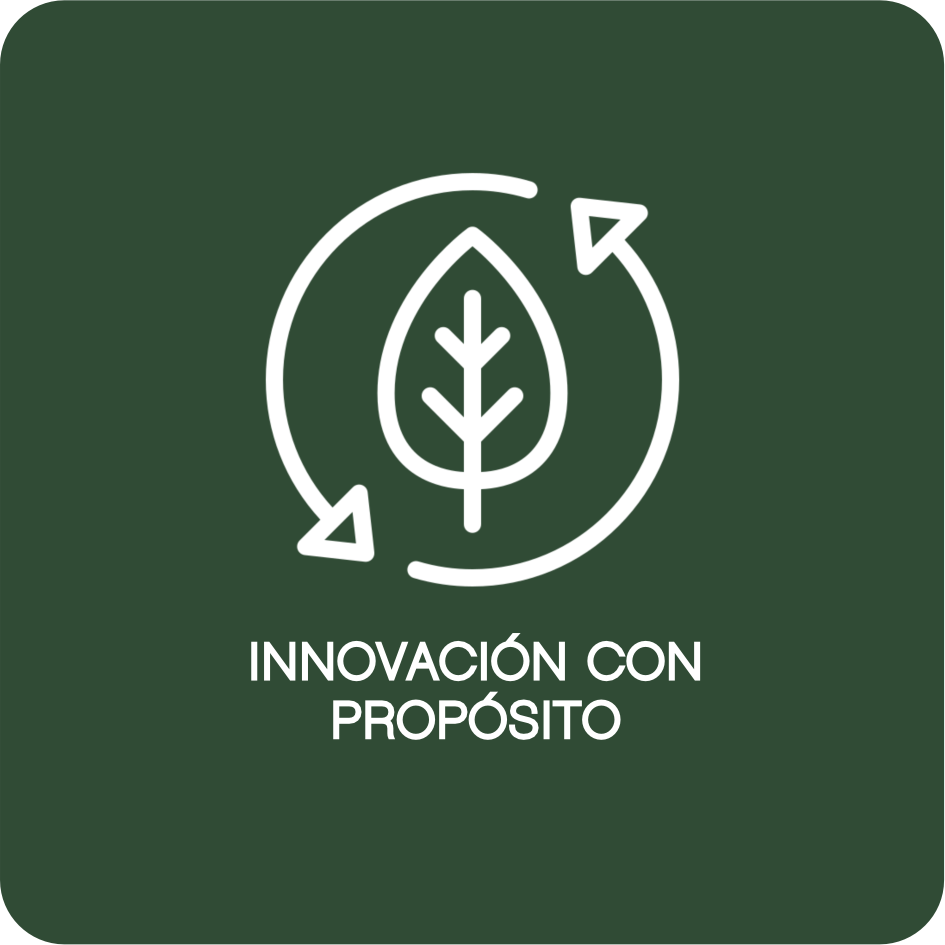 INNOVACIÓN CON