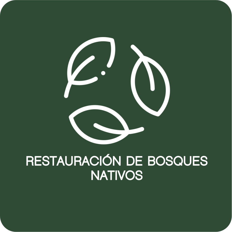 RESTAURACIÓN DE BOSQUES NATIVOS